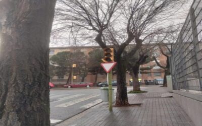 REUNIÓN DE TRABAJO PARA HABLAR DE LA REMODELACIÓN DE LA CALLE LA MOLA